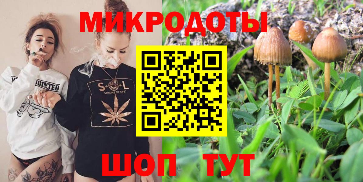 Псилоцибиновые грибы GOLDEN TEACHER Октябрьский